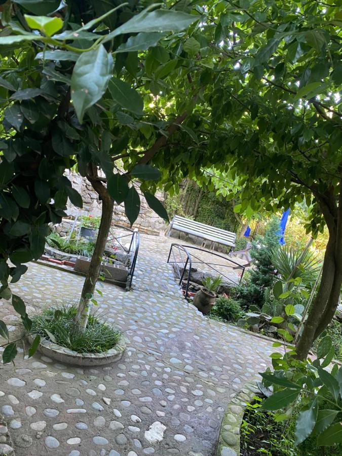 Holiday House Chkonia Hotel Batumi Ngoại thất bức ảnh