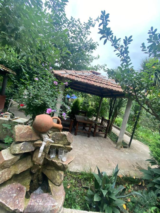 Holiday House Chkonia Hotel Batumi Ngoại thất bức ảnh