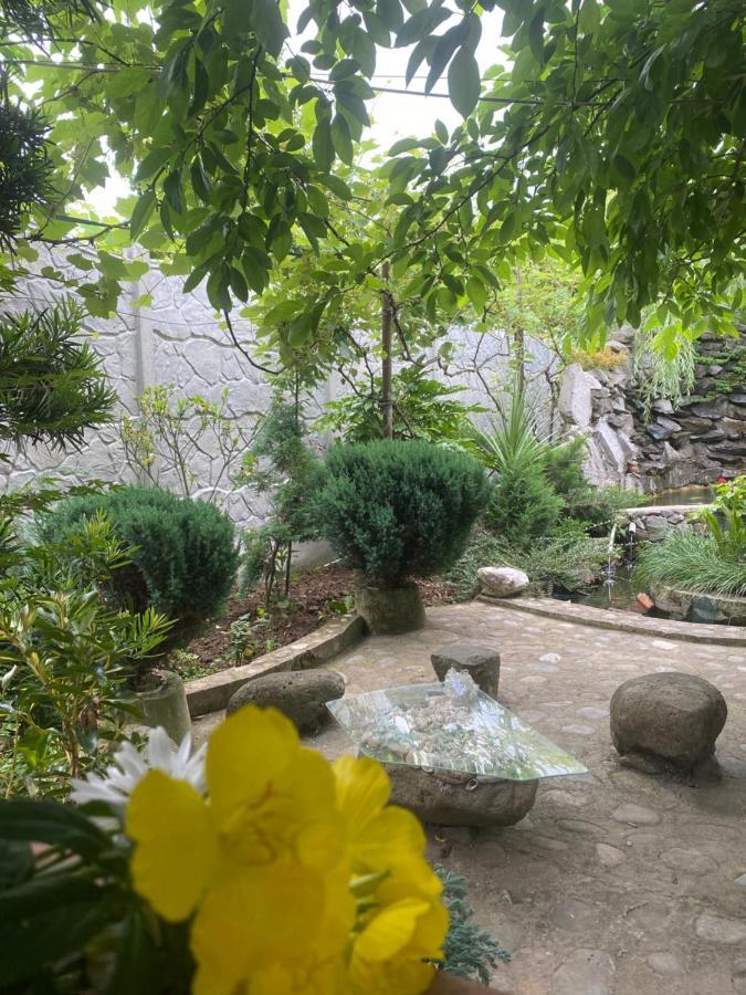 Holiday House Chkonia Hotel Batumi Ngoại thất bức ảnh