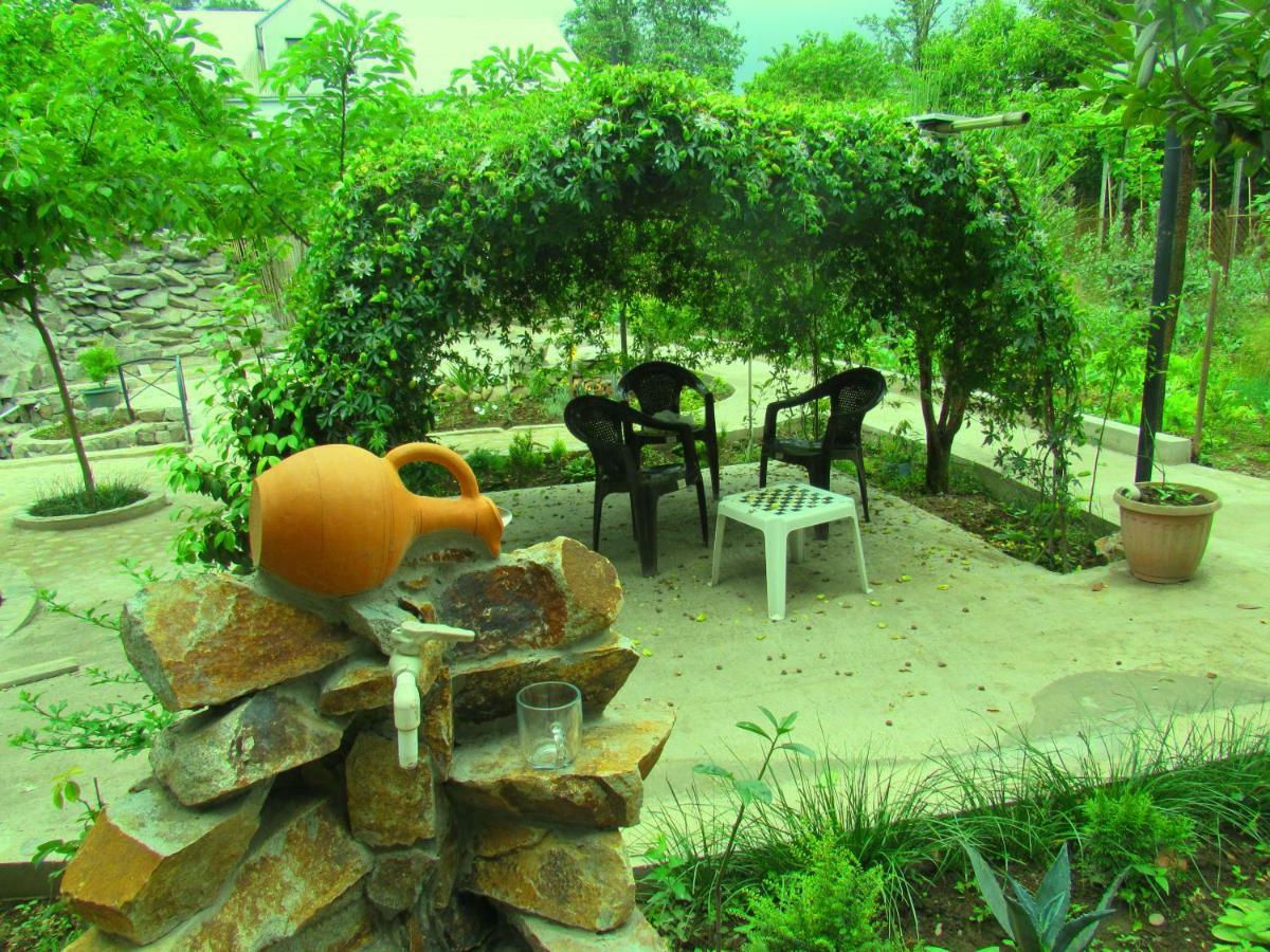 Holiday House Chkonia Hotel Batumi Ngoại thất bức ảnh