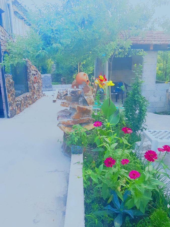 Holiday House Chkonia Hotel Batumi Ngoại thất bức ảnh