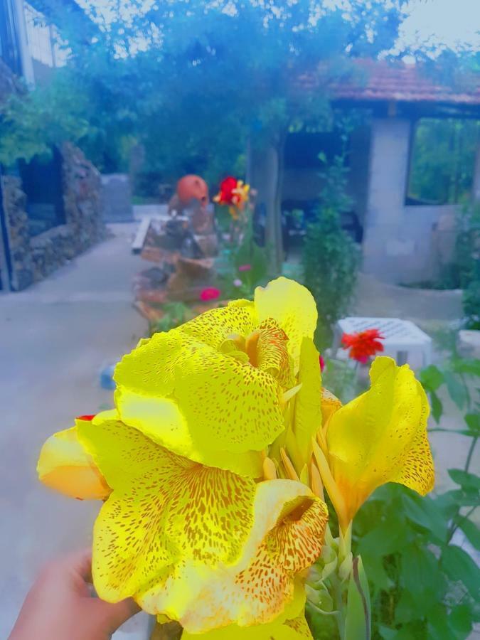 Holiday House Chkonia Hotel Batumi Ngoại thất bức ảnh